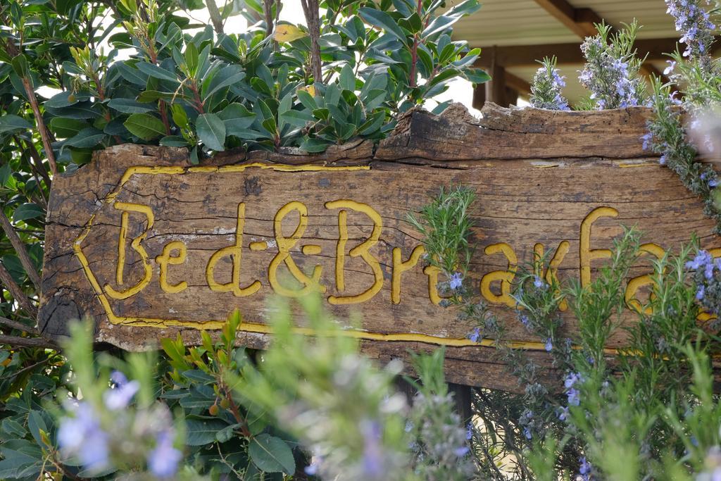 B&B Podere Ospedaletto Bolsena Dış mekan fotoğraf