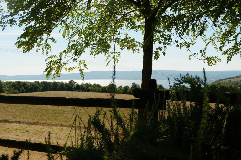 B&B Podere Ospedaletto Bolsena Dış mekan fotoğraf